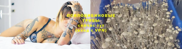 дмт Балабаново
